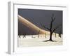 Blackened Camelthorn Trees in Dead Vlei, Near Sossusvlei, Namibia-Julian Love-Framed Photographic Print