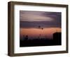 A Pair of UH-60 Black Hawk Helicopters Approach their Landing in Baghdad, Iraq-null-Framed Photographic Print