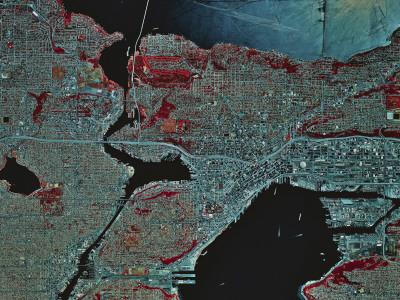 Photographic Print, , small