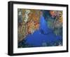 Diver Inspects Reef, Raja Ampat, Papua, Indonesia-Jones-Shimlock-Framed Photographic Print