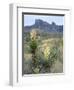 Spanish Dagger in Blossom Below Crown Mountain, Chihuahuan Desert, Big Bend National Park, Texas-Scott T. Smith-Framed Photographic Print