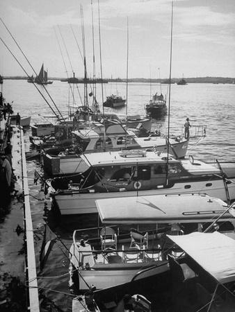 Photographic Print, , small