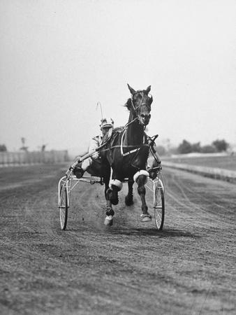 Photographic Print, , small