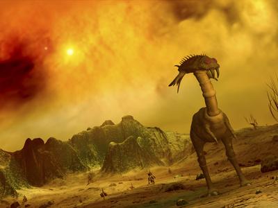 Photographic Print, , small