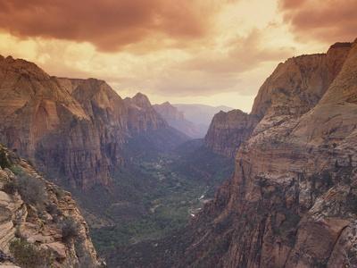 Premium Photographic Print, , small