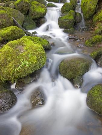 Premium Photographic Print, , small