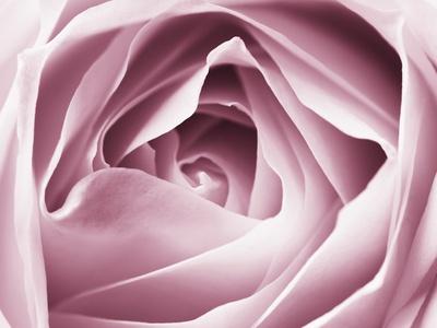 Premium Photographic Print, , small
