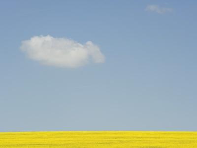 Premium Photographic Print, , small