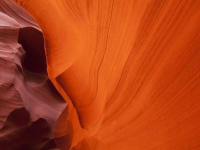 Premium Photographic Print, , small