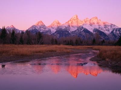Premium Photographic Print, , small