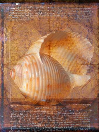 Premium Photographic Print, , small