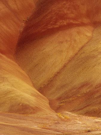 Premium Photographic Print, , small