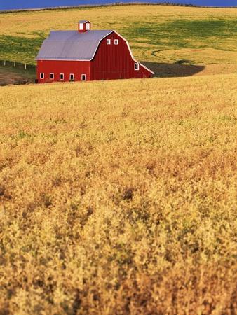 Premium Photographic Print, , small
