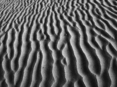 Premium Photographic Print, , small