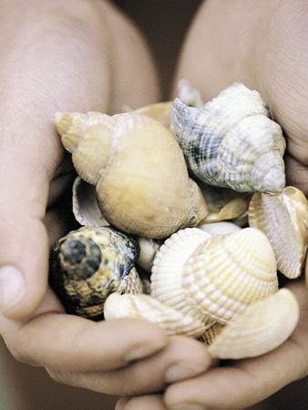 Premium Photographic Print, , small