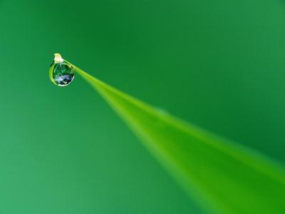 Premium Photographic Print, , small