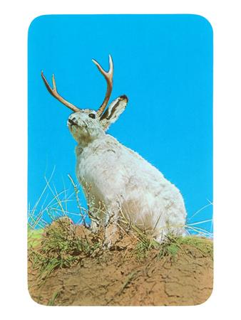 Art Print, , small