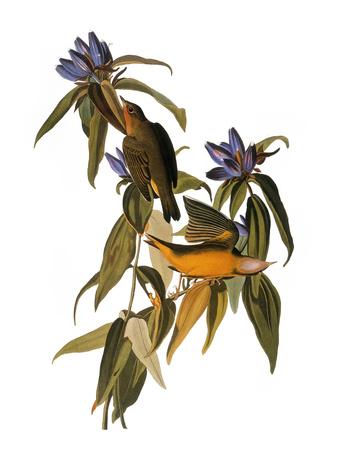 Premium Giclee Print, , small