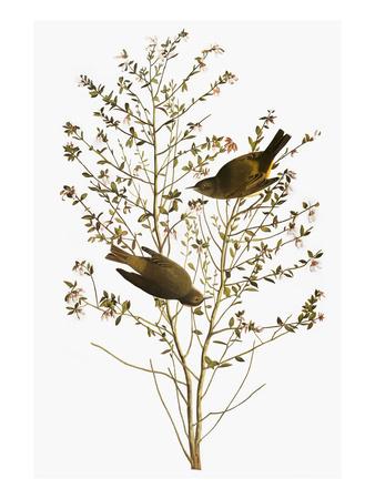 Premium Giclee Print, , small