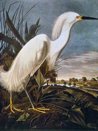 Premium Giclee Print, , small