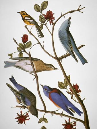 Premium Giclee Print, , small