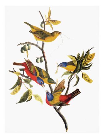 Premium Giclee Print, , small