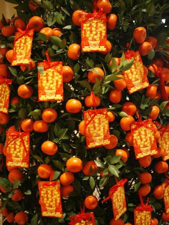 Photographic Print, , small