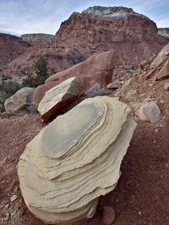 Photographic Print, , small