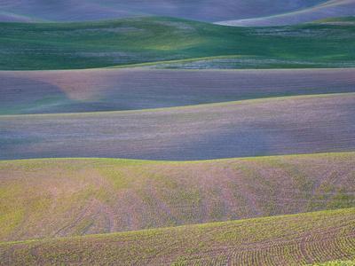 Photographic Print, , small