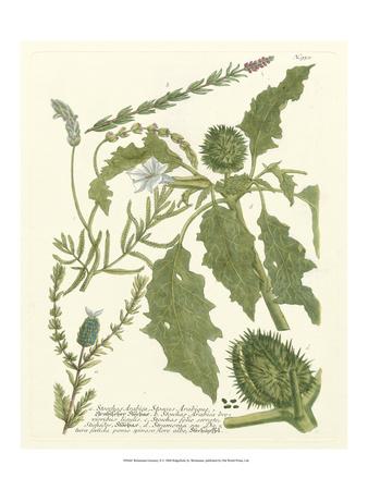 Premium Giclee Print, , small