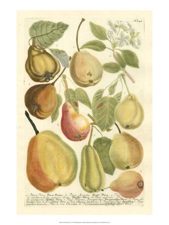 Premium Giclee Print, , small