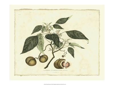 Premium Giclee Print, , small