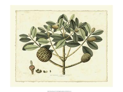 Premium Giclee Print, , small
