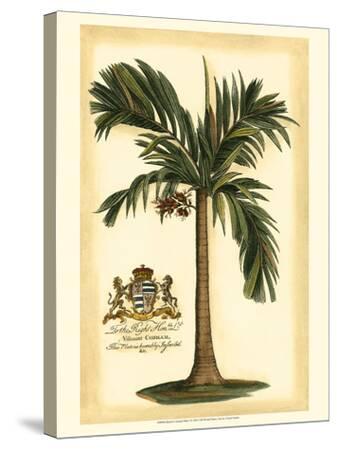 Stretched Canvas Print, , small