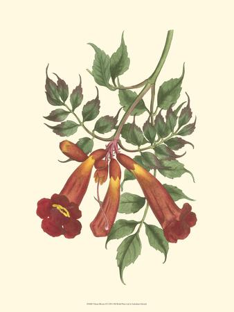 Premium Giclee Print, , small