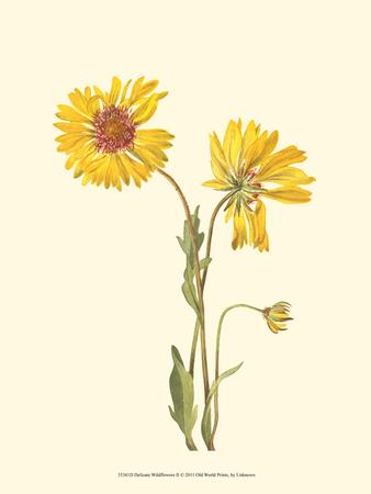 Premium Giclee Print, , small