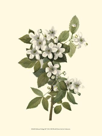 Premium Giclee Print, , small