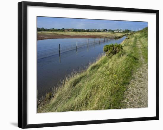View of Salt Marshes from the Solent Way Footpath, New Forest National Park, Lymington, Hampshire, -David Hughes-Framed Photographic Print