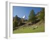 Zermatt, Valais, Swiss Alps, Switzerland, Europe-Angelo Cavalli-Framed Photographic Print