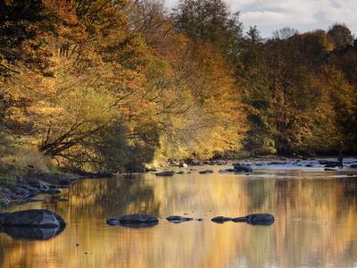 Photographic Print, , small