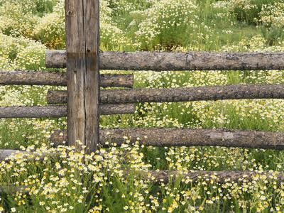 Premium Photographic Print, , small