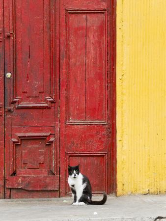 Premium Photographic Print, , small