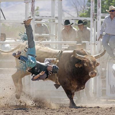 Photographic Print, , small