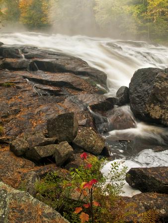 Premium Photographic Print, , small