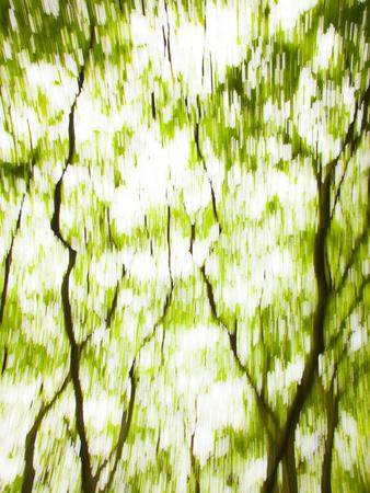 Premium Photographic Print, , small