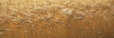 Photographic Print, , small