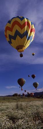 Photographic Print, , small