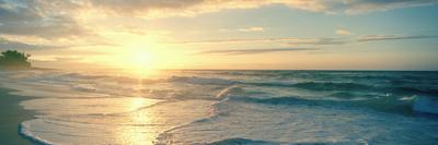 Photographic Print, , small