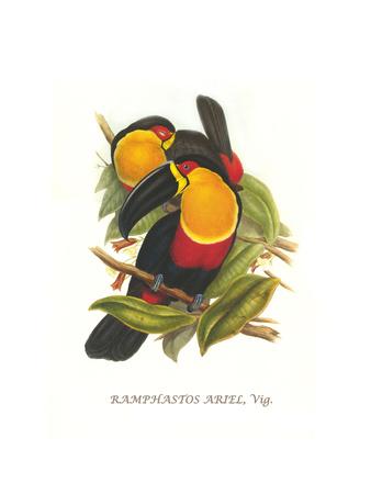 Art Print, , small