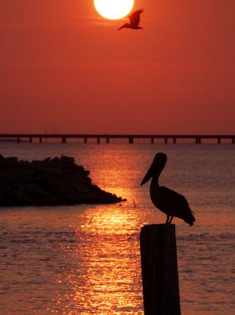 Premium Photographic Print, , small
